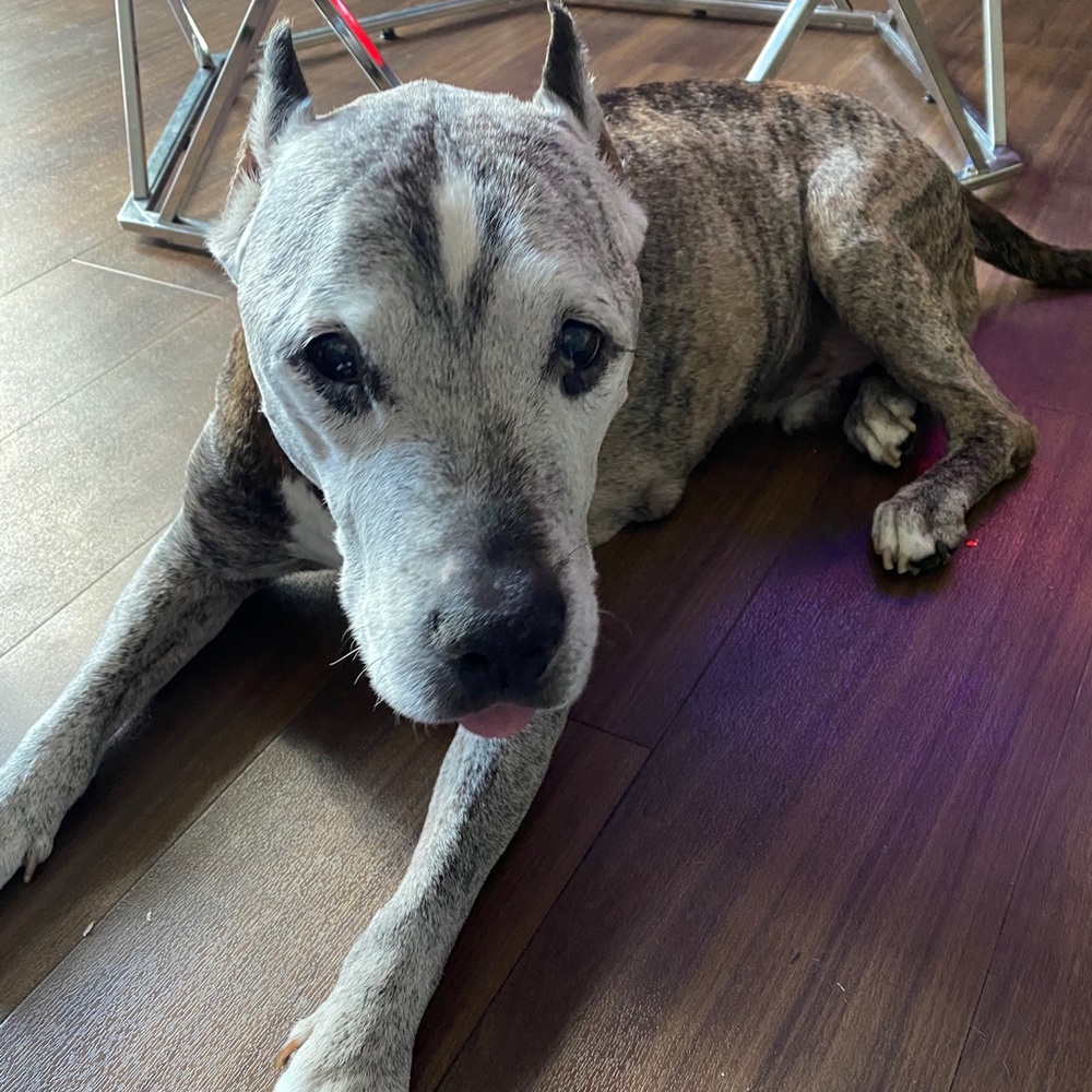 Meet your Posher, A.C.